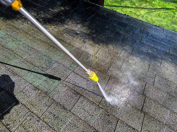 How Much Does Roof Cleaning Cost in Florida? (2026 Guide)